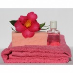 Fragrance oil for shower gel / shower cream - F T Fragrance Co., Ltd.