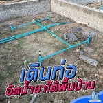 อัดน้ํายาปลวกบางบัวทอง ราคาถูก - กำจัดปลวก บางบัวทอง เอส วี โฮมอินเตอร์
