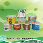 U Pack Green Vision Co, Ltd.