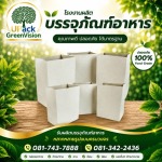 U Pack Green Vision Co, Ltd.