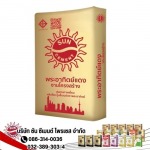 Sun Cement Process Co Ltd