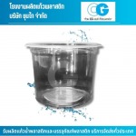 Chungii Co., Ltd.