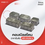 Sor.Aroon Concrete Pathumthani Co., Ltd.