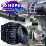 Pamongthai Enterprise Co Ltd