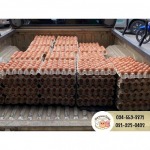 ขายส่งไข่ไก่จากฟาร์ม - ณิชากมลไข่สด-พรชัย บุญส่งฟาร์ม (ขายส่งไข่ไก่)