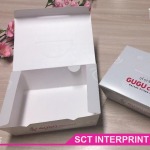 SCT Interprint Co., Ltd.