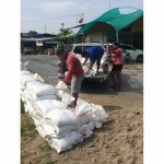Sandbags for sale, water barrier, Pathum Thani - Thasai Kuntawesak