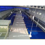 Showroom floor - Epoxy-T.T. R. Epicon (Thailand)