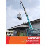 Sahachon Crane