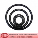  O-ring rubber factory - N.U.K.OILSEAL & O-Ring Industry Co Ltd