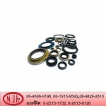  Produce oil seal - N.U.K.OILSEAL & O-Ring Industry Co Ltd