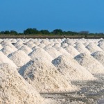 Roongthara Sea Salt 