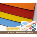 Bangkok Polyfoam Co Ltd