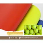 Bangkok Polyfoam Co Ltd