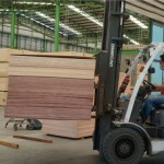 chat inter thai plywood co., ltd.