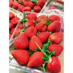 Strawberry - selling fruits, imported to the Thai market