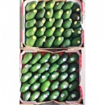 Avocado - selling fruits, imported to the Thai market