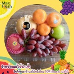 Boxset ผลไม้จัดเบรค - รับจัดกระเช้าผลไม้พรีเมี่ยมขายส่งผลไม้นำเข้า ผลไม้นานาชาติ