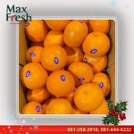 ผลไม้พรีเมี่ยมพร้อมทาน - รับจัดกระเช้าผลไม้พรีเมี่ยมขายส่งผลไม้นำเข้า ผลไม้นานาชาติ