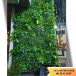 รับจัดอีเวนท์ต้นไม้ปลอม - รับจัดสวนต้นไม้ปลอม - ธนพล ต้นไม้ประดิษฐ์