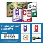 ร้านขายปูนซีเมนต์ ปูนตราเสือ ปูนตราจิงโจ้ ปูนลูกดิ่ง ปูนทีพีไอ พระราม2 พุทธบูชา - บริษัท เงินวัสดุและก่อสร้าง จำกัด