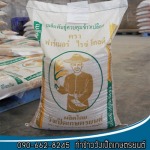 ร้านขายเมล็ดพันธุ์ข้าว พิษณุโลก-ท่าข้าววังเป็ด