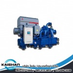 จำหน่ายปั๊มลมอุตสาหกรรม - ไคชัน (ประเทศไทย)