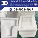 Molded EP foam - 3D INTER PACK COMPANY LIMITED 