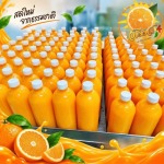 ขายส่งน้ำส้มคั้น รังสิต ปทุมธานี - โรงงานน้ำส้มคั้นสด ปทุมธานี น้ำส้มคั้นวโรรส