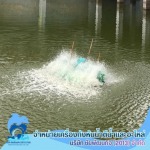 กังหันน้ำเติมอ๊อกซิเจน บำบัดน้ำเสีย สมุทรสาคร