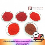 สีผงผสมเม็ดพลาสติก - โรงงานผลิตผงสีพลาสติก - ไทย พิกเมนท์