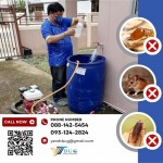 บริษัทกำจัดปลวก สมุทรสาคร - วาย แอนด์ ที บัก เมเนจเม้นท์
