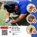 บริษัทกำจัดปลวก สมุทรสาคร - วาย แอนด์ ที บัก เมเนจเม้นท์