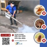 บริษัทกำจัดปลวก สมุทรสาคร - วาย แอนด์ ที บัก เมเนจเม้นท์