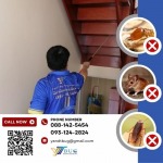บริษัทกำจัดปลวก สมุทรสาคร - วาย แอนด์ ที บัก เมเนจเม้นท์