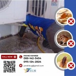 บริษัทกำจัดปลวก สมุทรสาคร - วาย แอนด์ ที บัก เมเนจเม้นท์