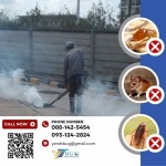 บริษัทกำจัดปลวก สมุทรสาคร - วาย แอนด์ ที บัก เมเนจเม้นท์