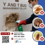 รับกำจัดหนู แมลง สมุทรสาคร - บริษัทกำจัดปลวก สมุทรสาคร - วาย แอนด์ ที บัก เมเนจเม้นท์