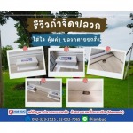 บริษัทกำจัดปลวก ปทุมธานี - ไอ แอม บัก