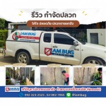 บริษัทกำจัดแมลงสาบรังสิต - บริษัทกำจัดปลวก ปทุมธานี - ไอ แอม บัก