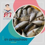 ขายปลาทูราคาถูก - ขายส่งปลาทูแม่กลอง - ดาปลาทูแม่กลอง