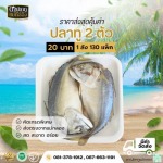 ปลาทูสดแม่กลองราคาส่ง - ขายส่งปลาทูแม่กลอง - ดาปลาทูแม่กลอง