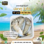 ขายส่งปลาทูแม่กลอง - ดาปลาทูแม่กลอง