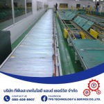 Slat Chain Conveyor - รับสร้างระบบคอนเวเยอร์ - ทีพีเอส เทคโนโลยี