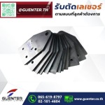 Guenter Co., Ltd.