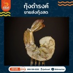 Shrimp Wholesale-Damrongshrimp
