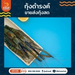 Shrimp Wholesale-Damrongshrimp
