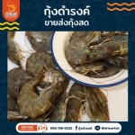 Shrimp Wholesale-Damrongshrimp