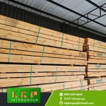 Wholesale rubber wood for pallet factories - โรงงานผลิตไม้พาเลท ระยอง