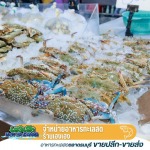 ขายส่งอาหารทะเลตลาดธนบุรี เฮงเฮงอาหารทะเลสด